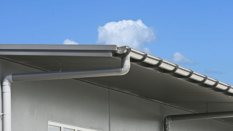 Eaves Maintenance